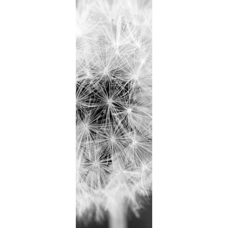 Poster Pusteblume bei Dämmerung Panorama Hoch
