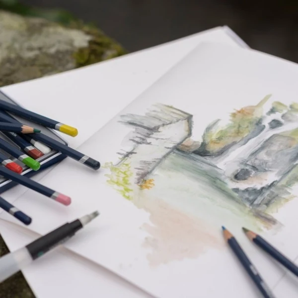 Derwent - Watercolour Pencil - 12 Tin