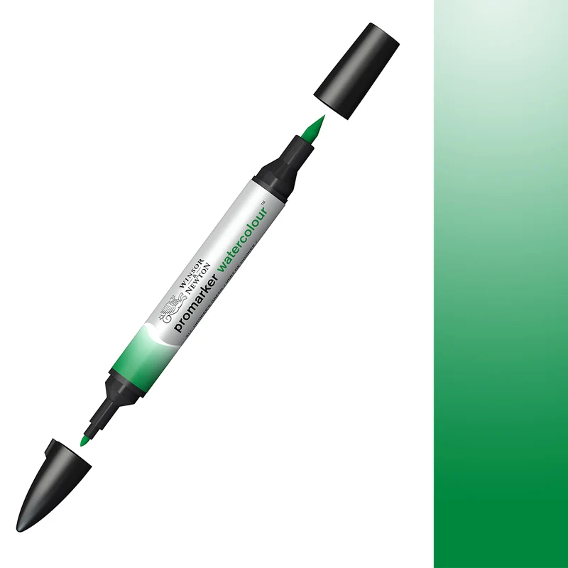 Winsor & Newton - Promarker Watercolour - Hookers Green 311