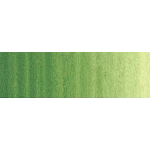 Winsor and Newton - Winton Oil Colour - 200ml - Terre Verte (39)