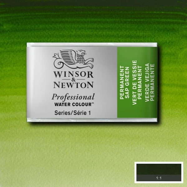 Winsor and Newton - Professional Artists' Watercolour Whole Pan - WP - Permanent Sap Green