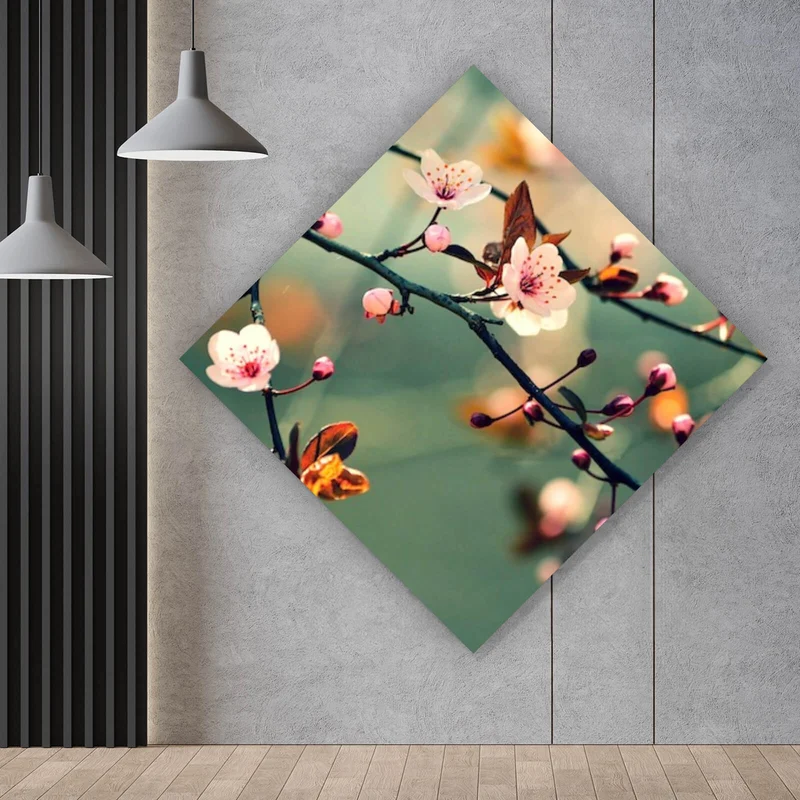 Leinwandbild Kirschblüten am Ast Raute