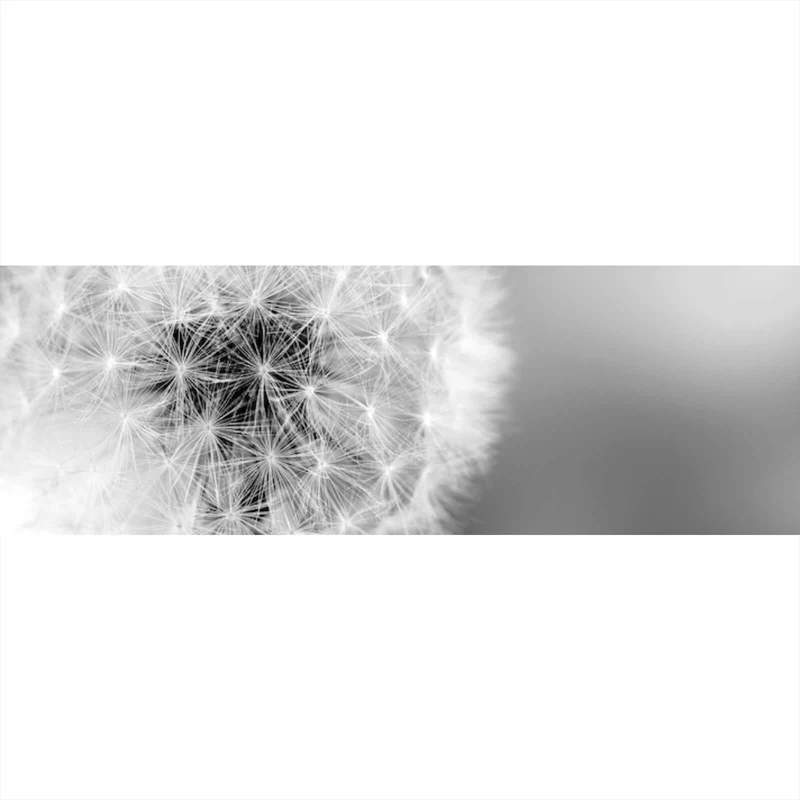 Aluminiumbild gebürstet Pusteblume bei Dämmerung Panorama