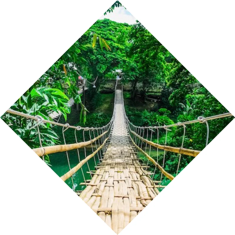 Spannrahmenbild Hängebrücke im Dschungel Raute