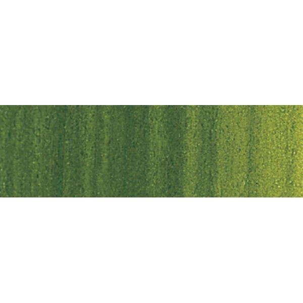 Winsor and Newton - Winton Oil Colour - 37ml - Sap Green (37)