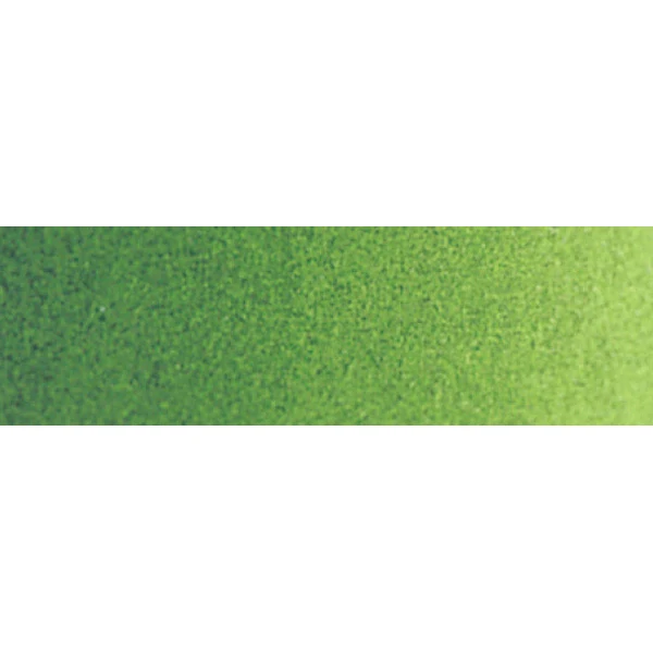 Winsor and Newton - Professional Artists' Watercolour - 5ml - Permanent Sap Green