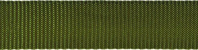 Gurtband 3cm grün kiwi