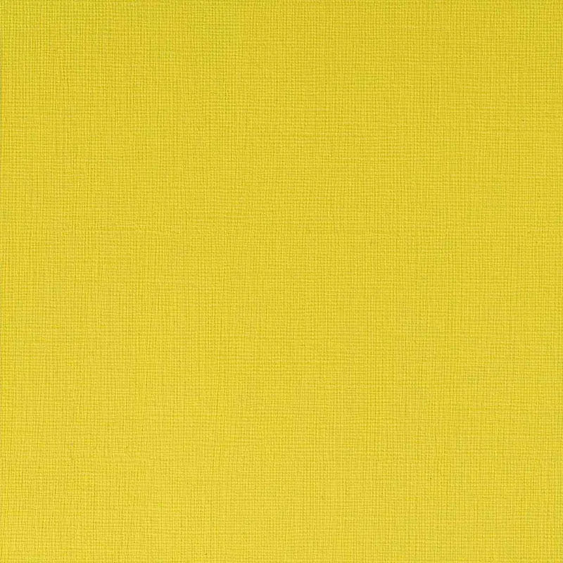 Winsor and Newton - Professional Artists' Acrylic Colour - 60ml - Cadmium Lemon