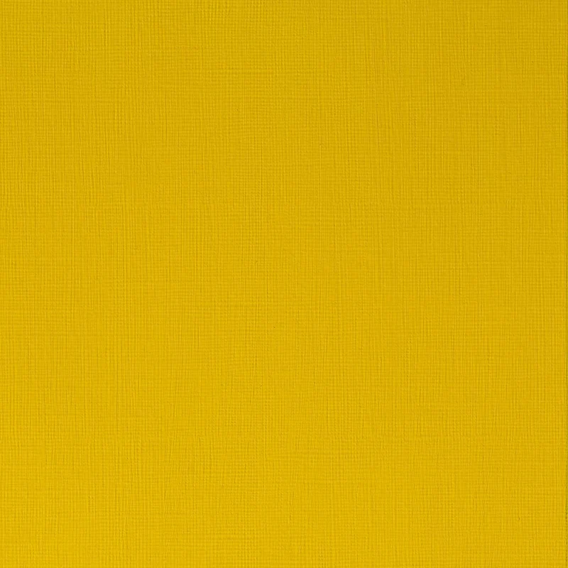 Winsor and Newton - Professional Artists' Acrylic Colour - 60ml - Azo Yellow Medium