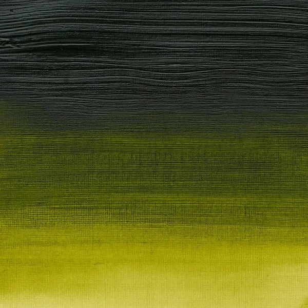 Winsor and Newton - Professional Artists' Acrylic Colour - 200ml - Pemanent Sap Green