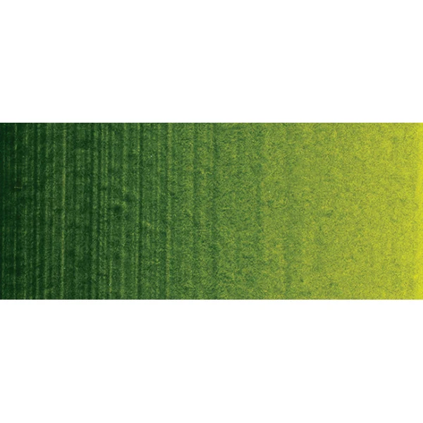 Winsor and Newton - Professional Artists' Acrylic Colour - 200ml - Pemanent Sap Green