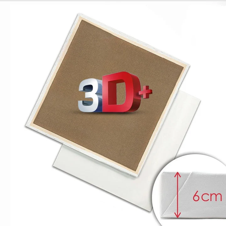 3D+ PROFI Stretched Canvas