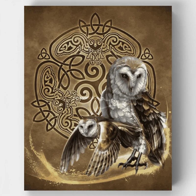 Celtic Owl - Paint by Numbers Kit