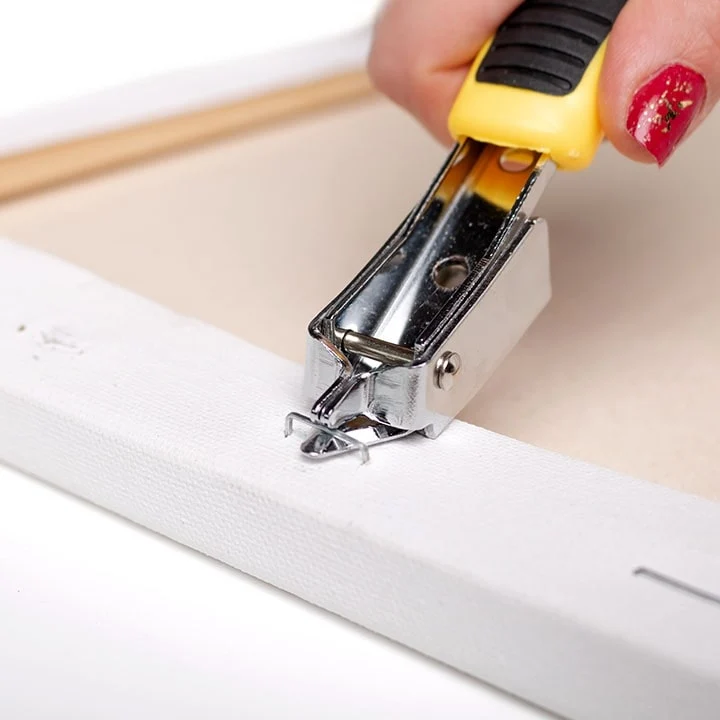 Staple Remover
