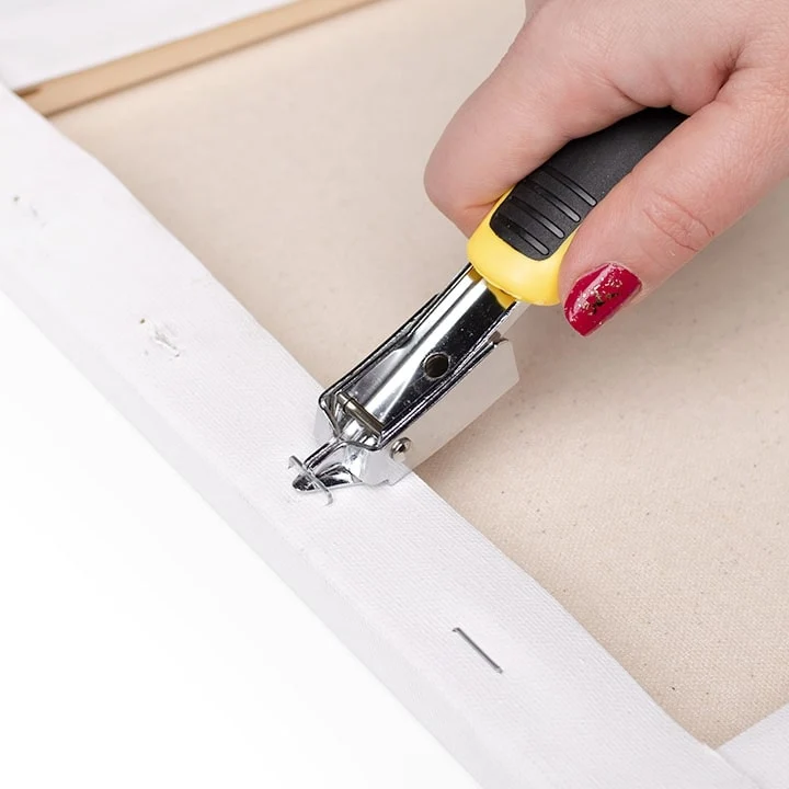 Staple Remover