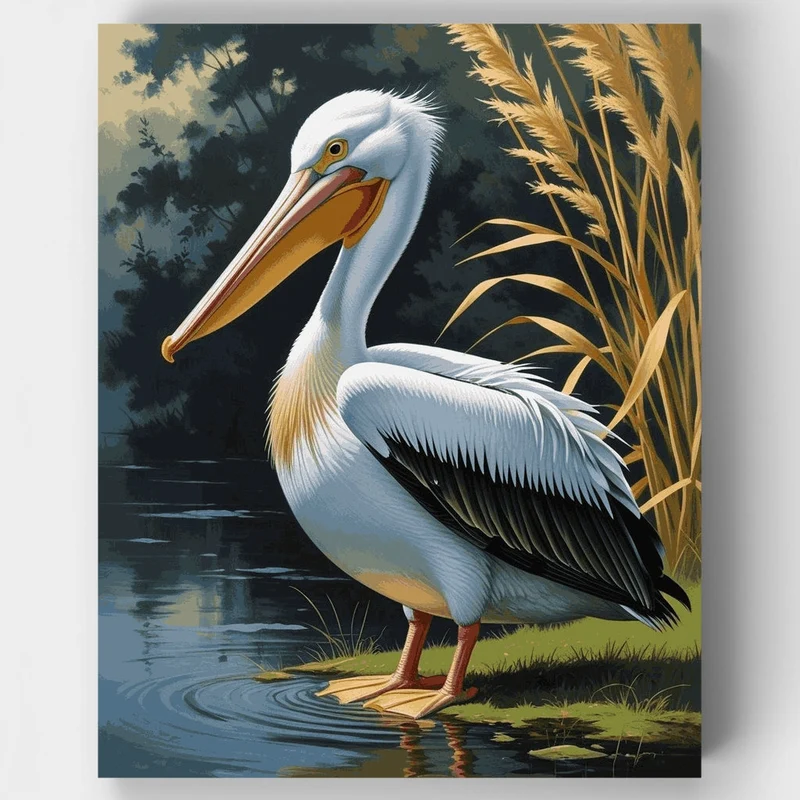 Australian Pelican by the Wetlands - Paint by Numbers Kit