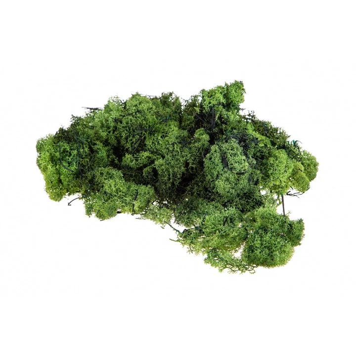 Stabilized Icelandic Moss 500 g