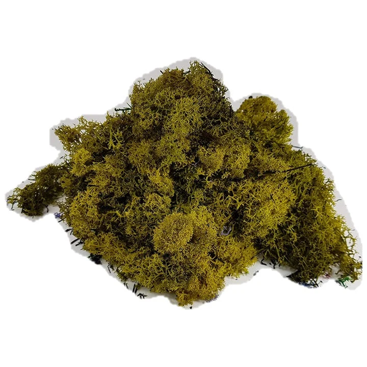 Stabilized Icelandic Moss 500 g