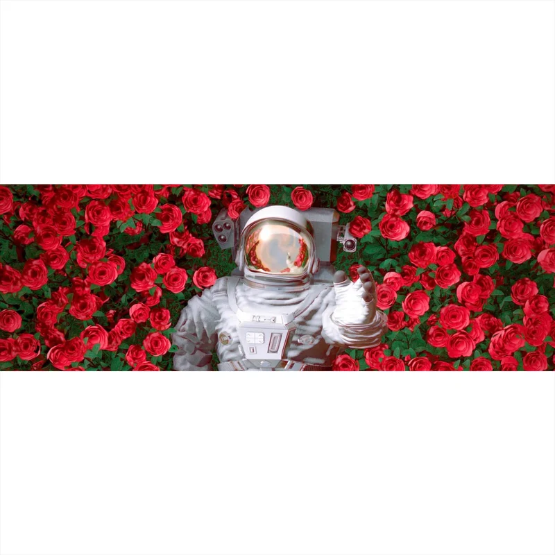 Aluminiumbild Astronaut zwischen Rosen Panorama