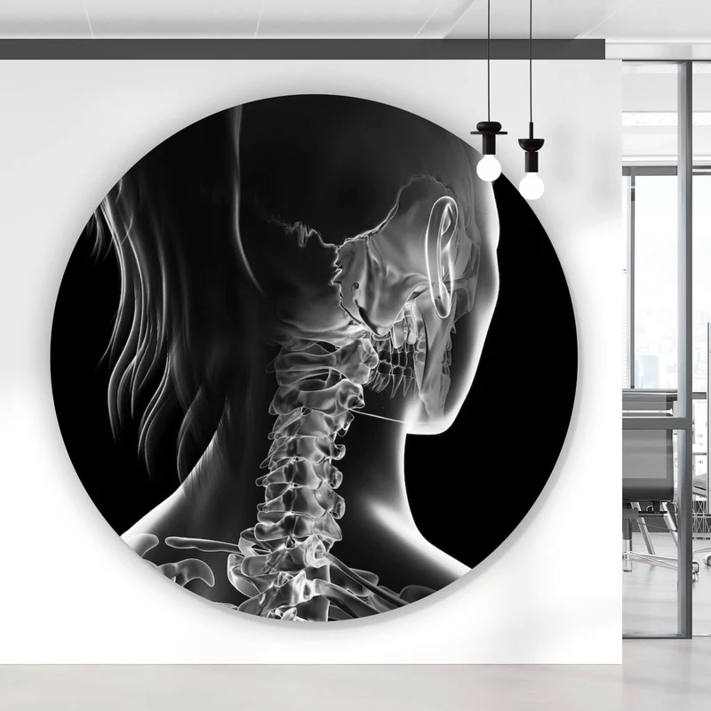 Aluminiumbild Anatomische Röntgenkunst Kreis