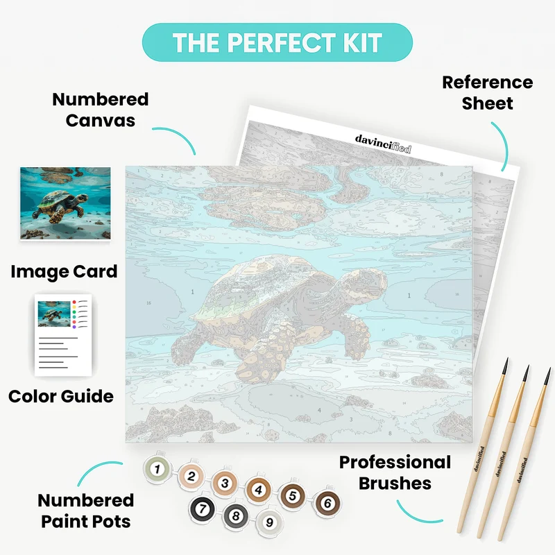 Underwater Sea Turtle Swimming - Paint by Numbers Kit