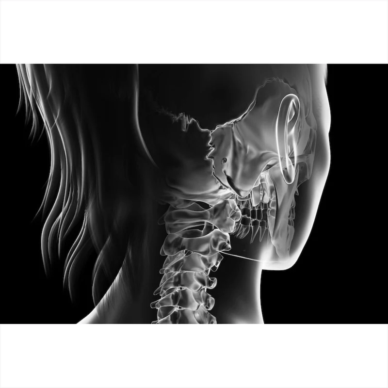 Spannrahmenbild Anatomische Röntgenkunst Querformat
