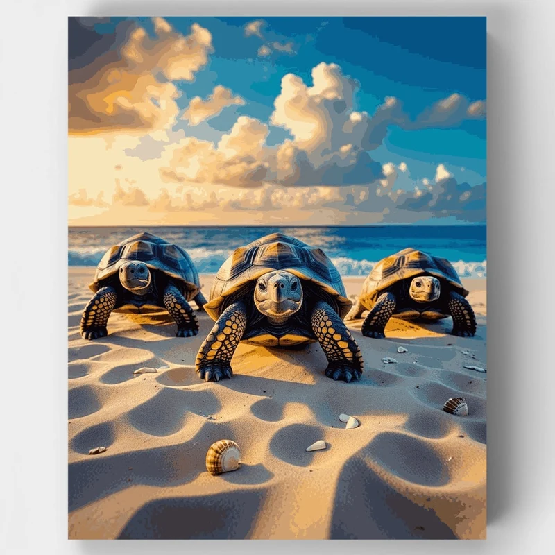 Three Tortoises on a Sunny Beach - Paint by Numbers Kit