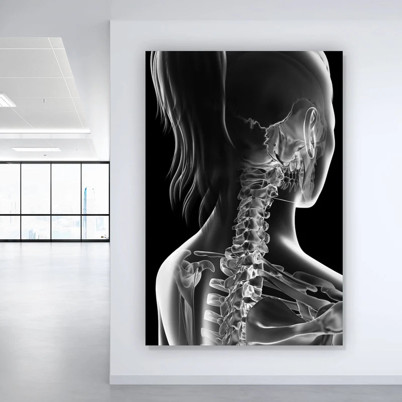 Poster Anatomische Röntgenkunst Hochformat