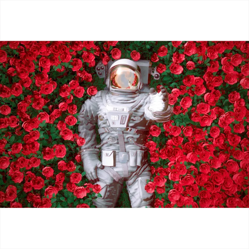 Spannrahmenbild Astronaut zwischen Rosen Querformat