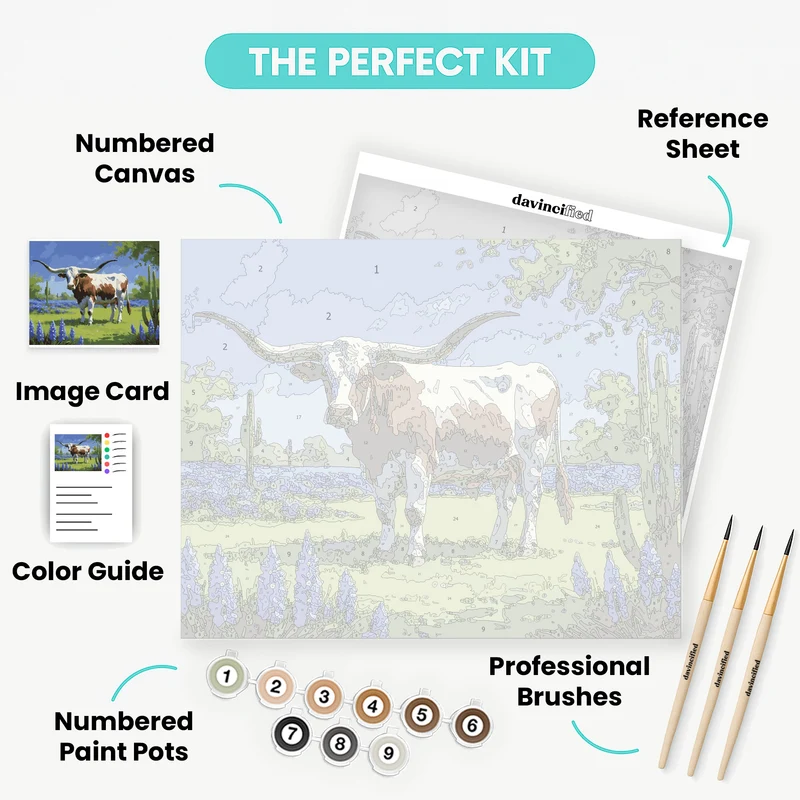 Texas Longhorn in Bluebonnet Field - Paint by Numbers Kit