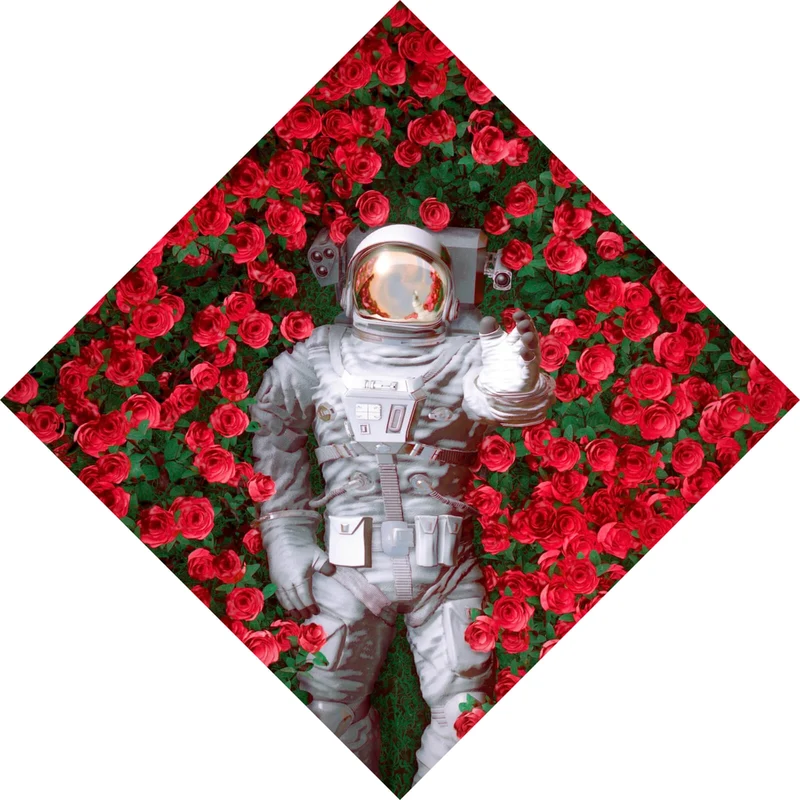 Aluminiumbild gebürstet Astronaut zwischen Rosen Raute