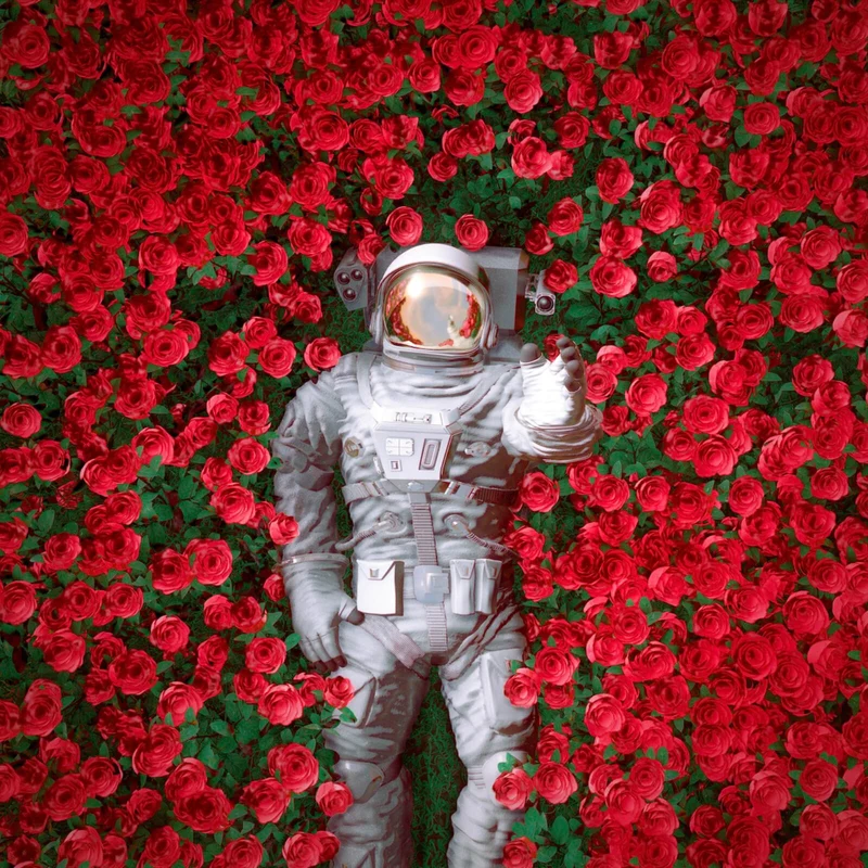 Spannrahmenbild Astronaut zwischen Rosen Quadrat