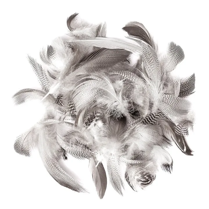 Duck Feathers, 5–12 cm / 5 g