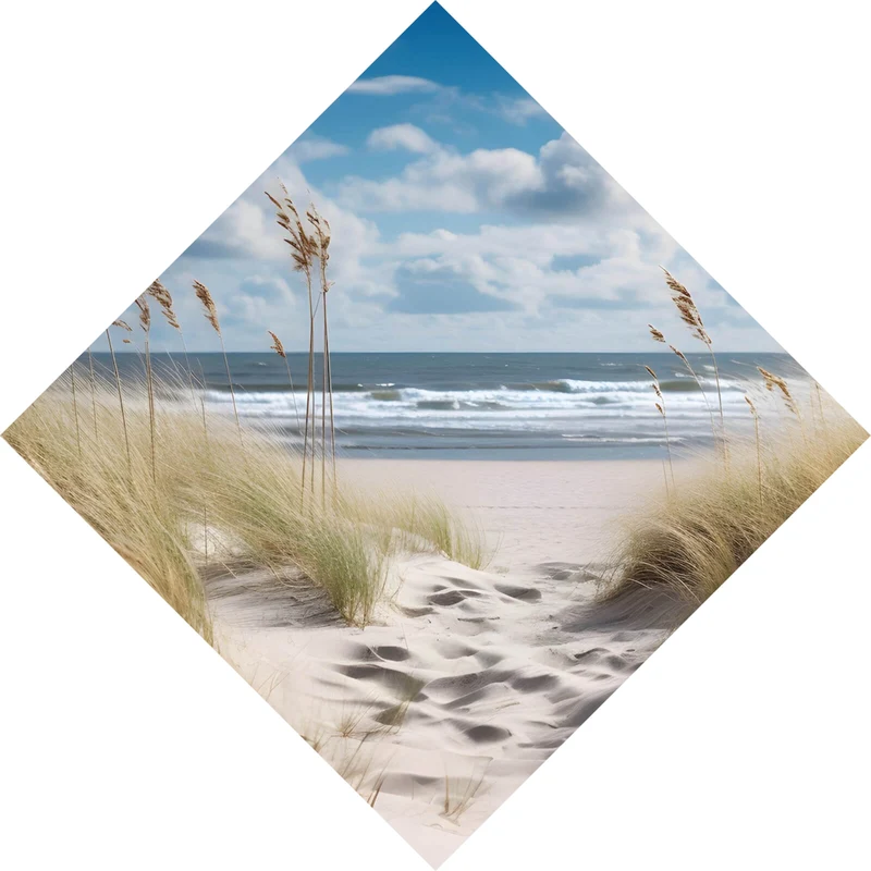 Spannrahmenbild Strandlandschaft mit sanften Dünen Raute