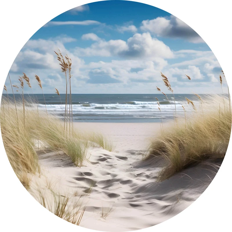 Aluminiumbild gebürstet Strandlandschaft mit sanften Dünen Kreis