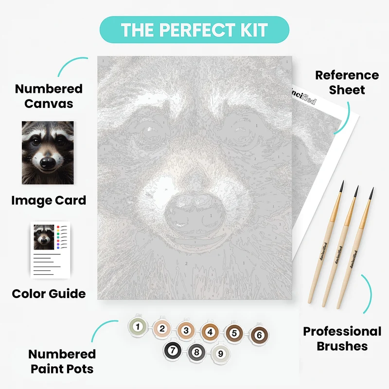 Adorable Raccoon Face - Paint by Numbers Kit