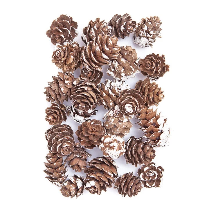 Decorative Mini Pine Cones Covered in Snow