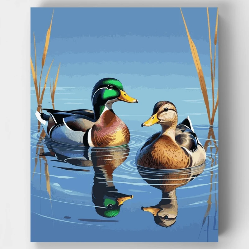 Mallard Duck Pair - Paint by Numbers Kit