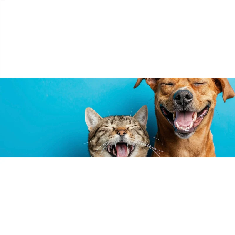 Poster Lachende Tiere vor blauen Hintergrund Panorama