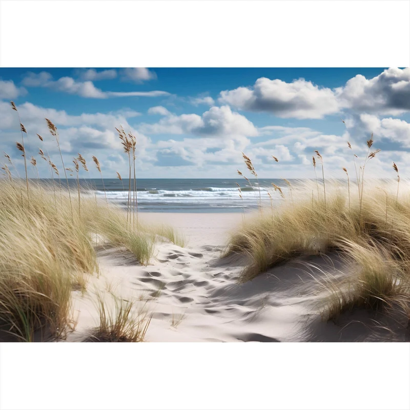 Aluminiumbild Strandlandschaft mit sanften Dünen Querformat