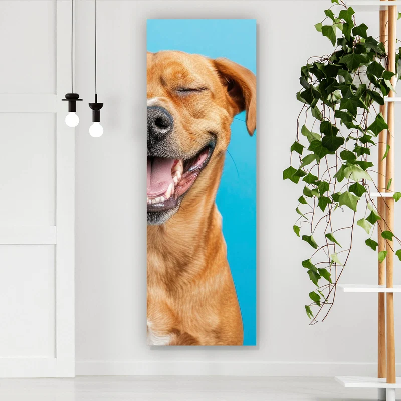 Spannrahmenbild Lachende Tiere vor blauen Hintergrund Panorama Hoch
