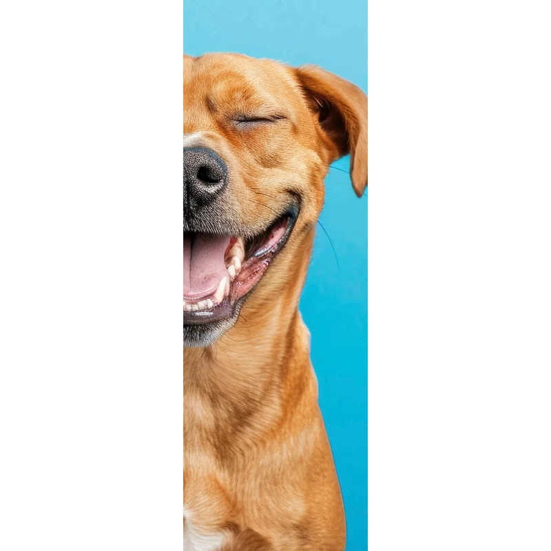Poster Lachende Tiere vor blauen Hintergrund Panorama Hoch