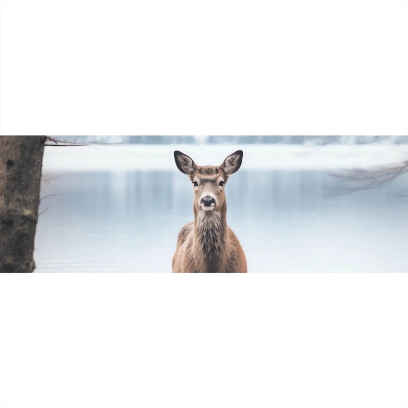 Aluminiumbild Rehe am ruhigen Seeufer betrachten Panorama