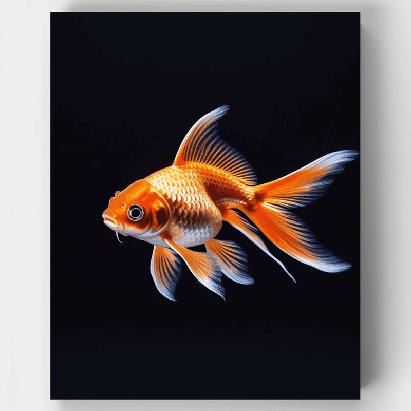 Elegant Goldfish with Flowing Fins - Paint by Numbers Kit