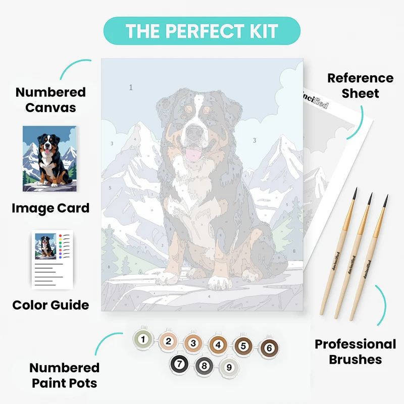 Bernese Mountain Dog - Paint by Numbers Kit