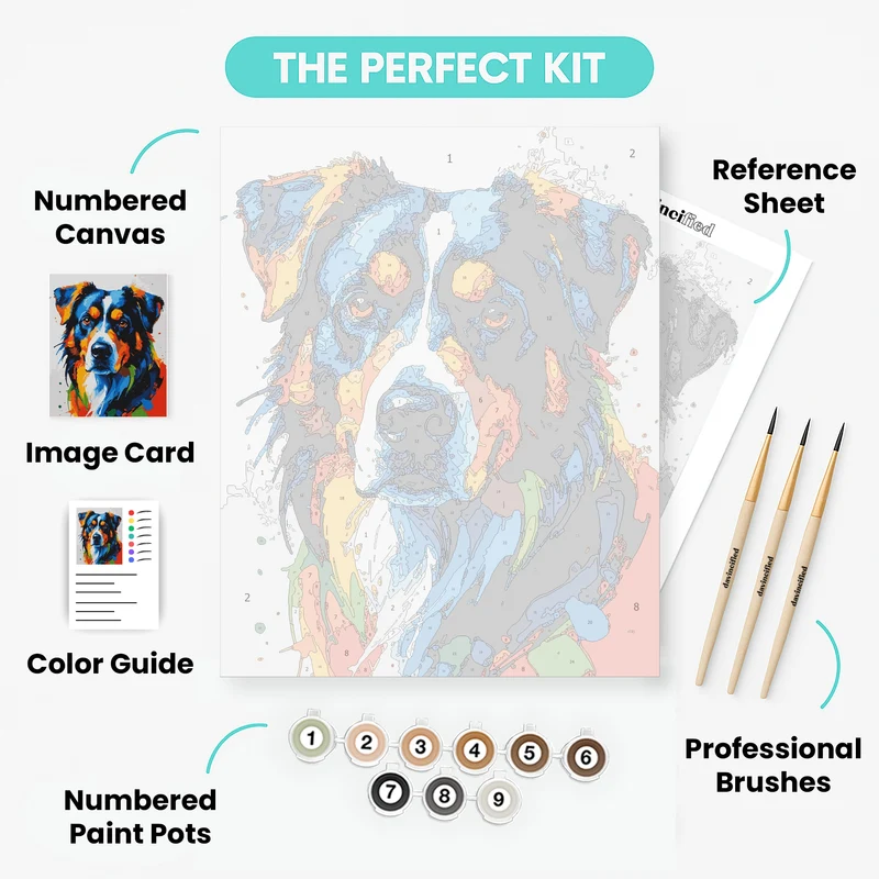 Vibrant Bernese Mountain Dog - Paint by Numbers Kit