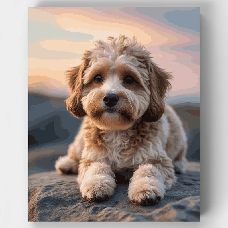 Adorable Cavapoo at Sunset - Paint by Numbers Kit