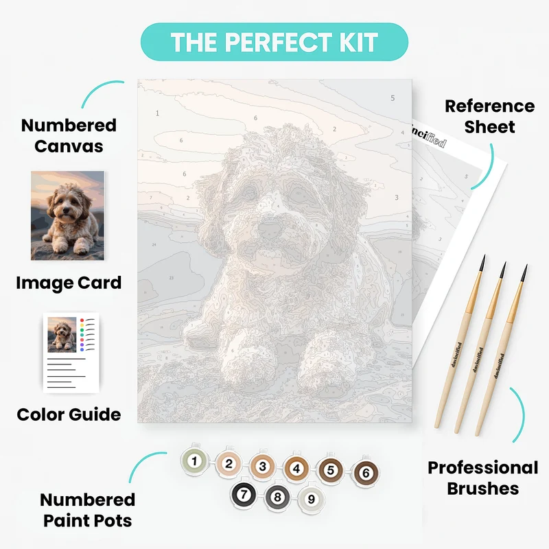 Adorable Cavapoo at Sunset - Paint by Numbers Kit