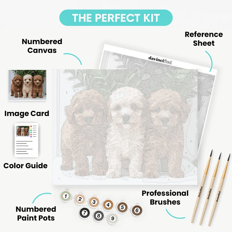 Adorable Poodle Puppies Trio - Paint by Numbers Kit