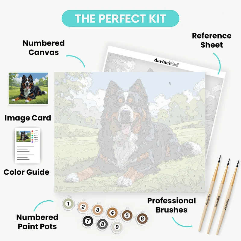 Bernese Mountain Dog in Meadow - Paint by Numbers Kit